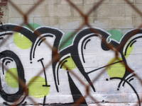oink-graffiti.jpg